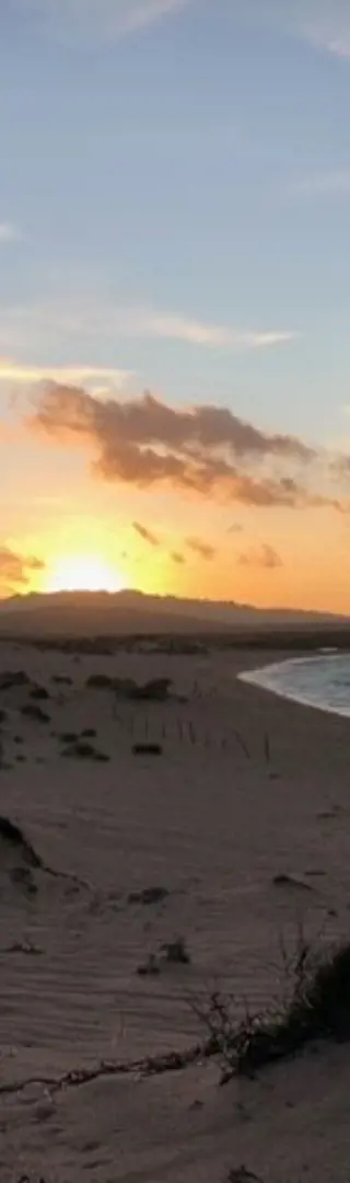 Porto Pollo: Ein Muss für Windliebhaber und Strand-Chiller